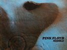 PINK FLOYD - Meddle - UNIQUE COVER - INDIA 1971 - NM