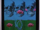 GRATEFUL DEAD: The History Of The Grateful Dead LP (WLP disc nearly new, light