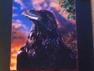 THE STRANGLERS The Raven LP UK ORIGINAL Limited  PRESSING 3D SLEEVE EX COPY KBD