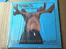 TIMEBOX LP MOOSE ON THE LOOSE PATTO / HALSALL