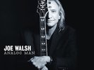 Joe Walsh - Analog Man