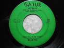 WILLIE TEE 45 First Taste Of Hurt/Funky Twist GATUR rare NOLA soul/funk HEAR