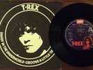 T Rex Dandy In The Underworld EP Demo  Picture Sleeve