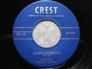 TOM TALL & HIS TOM KATS 45 Stack-A-Records CREST rare r&b rockabilly HEAR