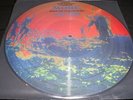 PINK FLOYD More Soundtrack vinyl LP unplayed PICTURE DISC