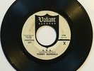Terry Randall: S.O.S. | rare 1966 garage punk psych Valiant **HEAR**