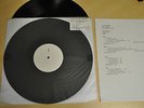 THE BYRDS - STRAIGHT FOR THE SUN (RARE VINYL TEST PRESSING)