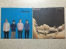 WEEZER - Blue Album + Pinkerton - two vinyl record LP lot