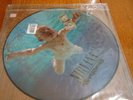 Nirvana-Nevermind-GRUNGE ROCK CLASSIC-NEW PICTURE DISC LP