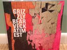 grizzly bear veckatimest 2 Lp warp shilds yellow house