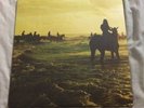 FOALS HOLY FIRE LP VINYL