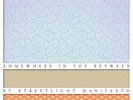 STREETLIGHT MANIFESTO 