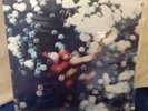 Pink Floyd - Obscured By Clouds LP.  Excellent Shape.