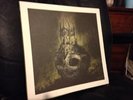 Dead Throne LP - Rare Variant + Full Band Autograph #492/500