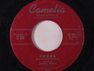 JAMES MILLS / NORM BAILEY: Cobra / Northwind 45 (wol, clean) rare Oldies