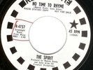 The Spirit No time to rhyme US 60s Garage psych 45 Pebbles on Roulette LISTEN