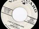 Junior Wells Stomach Ache Shake It Baby DEMO R&B MOD ??