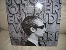 THE DIVINE COMEDY FIN DE SIECLE VINYL LP