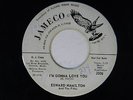 Edward Hamilton & Fifes 45 I'M GONNA LOVE YOU/ CALL ME  JAMECO nice VG to VG+