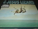 THE JESUS LIZARD Down (LP) (deluxe edition) (Scratch Acid / Rapeman)