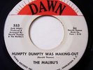 THE MALIBU'S  Rare Garage Rock 45   DAWN RECORDS Charleston, SC
