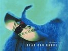 DEAD CAN DANCE Spiritchaser - 2LP (Reissue-Remastered) Import - Numbered - 2010