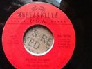 Rare DETROIT Northern Soul 45 The Magictones Me and My Baby Wheelsville VG+