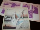 The Chameleons - Script Of The Bridge - STAT LP 17 - UK 1983 - LP [EX-NM]
