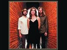 STRAY BIRDS**BEST MEDICINE (WITH CD)**VINYL