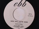 DAVE FORD & HOLLYWOOD FLAMES: Now That You've Gone / Hawaiian Dream 45 (dj) Voc