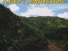 Risco Connection - Risco Connection Vinyl JP 2LP