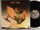 Rare Bird  Self-Titled    Prog Psych