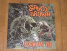 SAVOY BROWN looking in BLUES ROCK PROG PSYCH AKARMA KOTAY LP LIM 500