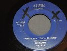 SUNBEAMS -Please Say You'll Be Mine/You've Got to Rock and Roll 45  Acme doo-wop