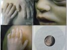 RAMMSTEIN Mutter  FOC  Booklet  LP  Near Mint NM  2001  Motor 549 639-1