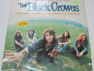 The Black Crowes 