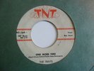 THE TRAITS / ROY HEAD One More Time TNT Rockabilly Rocker 45 HEAR