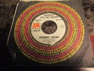 Robert John Raindrops, Love and Sunshine wl promo A&M northern soul  mp3