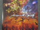 Poison the Well - The Opposite of December / Tear from the Red 2xLP - Clear
