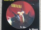 NIRVANA   IN BLOOM  12