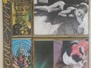 The Sonic Youth Sister BFFP 20