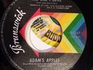 ADAM'S APPLES - DON'T TAKE IT OUT / YOU ARE THE ONE -BRUNSWICK  REISSUE