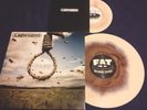 LAGWAGON 'HANG' FAT RECORD STORE 12