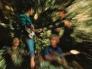 Bayou Country - Creedence Clearwater Revival New & Sealed LP Free Shipping
