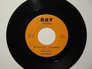 RARE ROCK / SURF INSTRO 45  MICHAEL & THE MAJESTICS  MIDNIGHT RUNNER  RAY  M-
