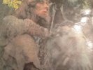 EX/EX  John Mayall/Blues From Laurel Canyon/1968 Decca Mono LP