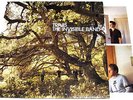  TRAVIS THE INVISIBLE BAND UK-ORIGINAL LP Vinyl w/orig inner ISOM25LP