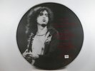 LED ZEPPELIN WHITE SUMMER PICTURE DISC LIVE LP SF 69 HAMBURG 70 #363 OF 375 MADE
