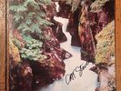 Cat Stevens - Back To Earth LP AUTOGRAPHED/SIGNED Yusuf RARE