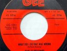 THE CLEFTONES 45 What Did I Do That was Wrong GEE Doo Wop VG++ #BB1815